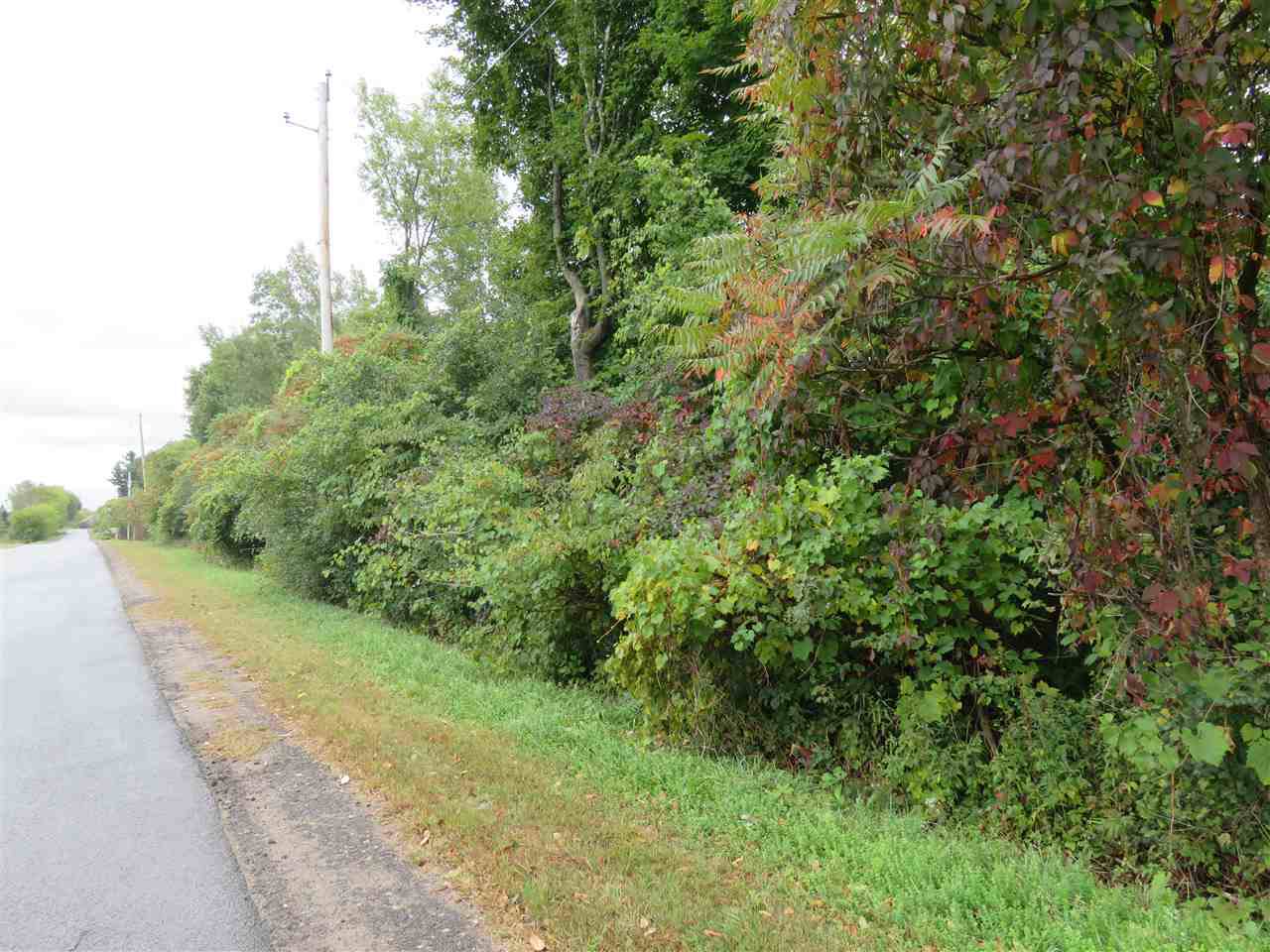 White Road - Photo 1