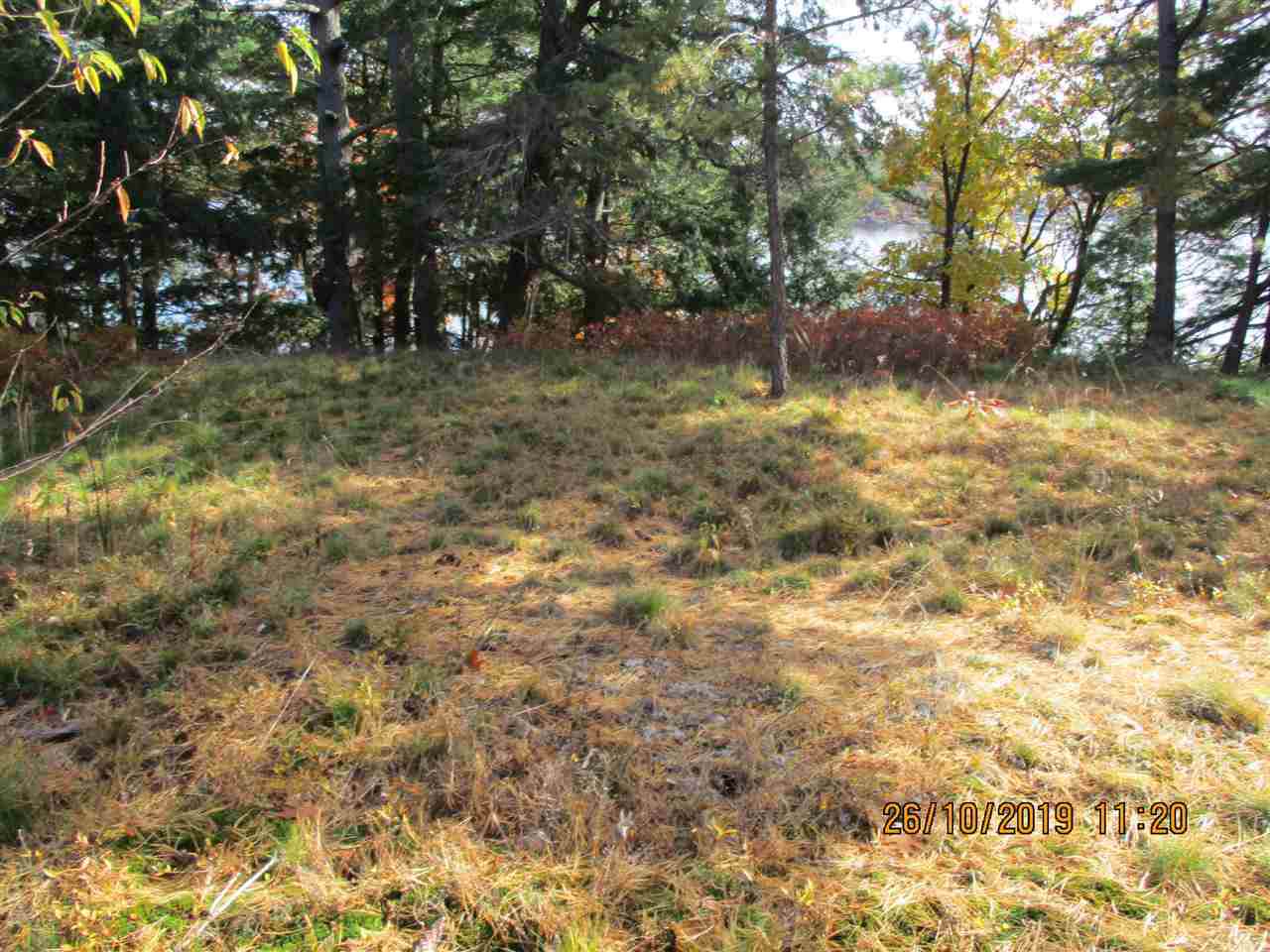 0 Mink Island - Photo 1