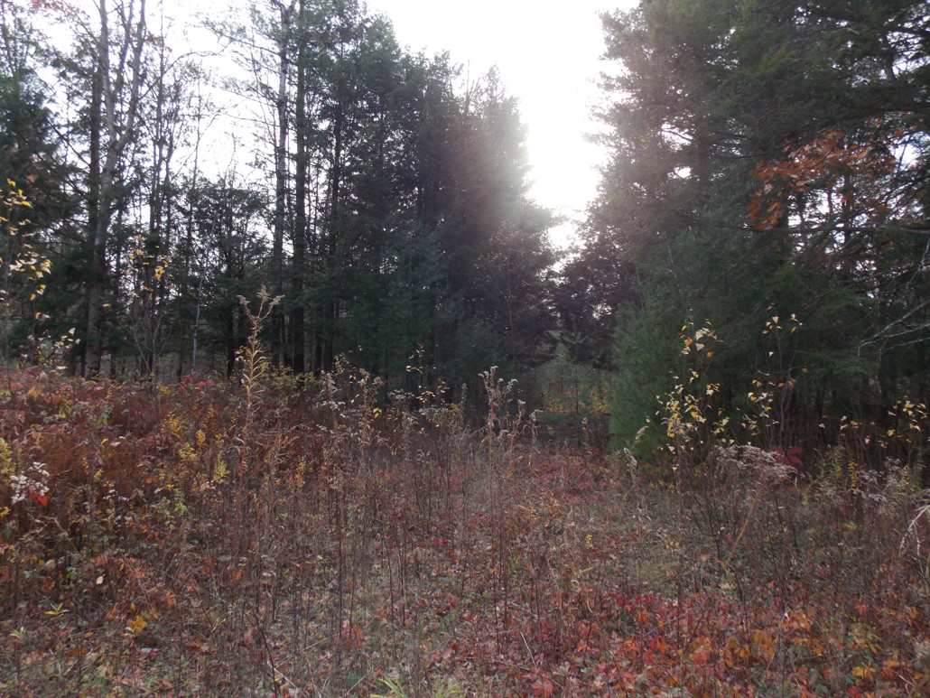 9-lot 12 Pitcairn Path - Photo 1