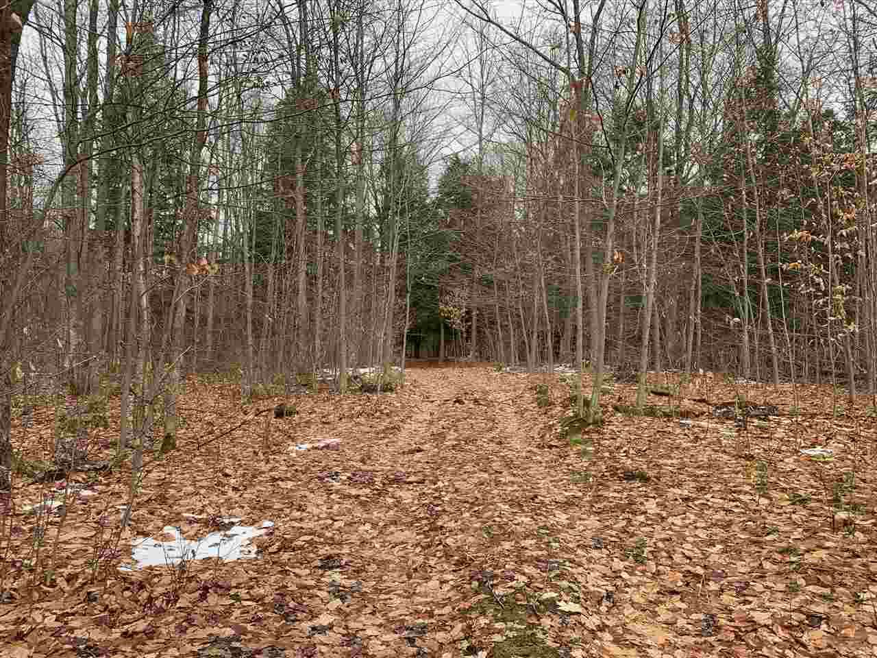0 Bruyere Shores - Photo 1