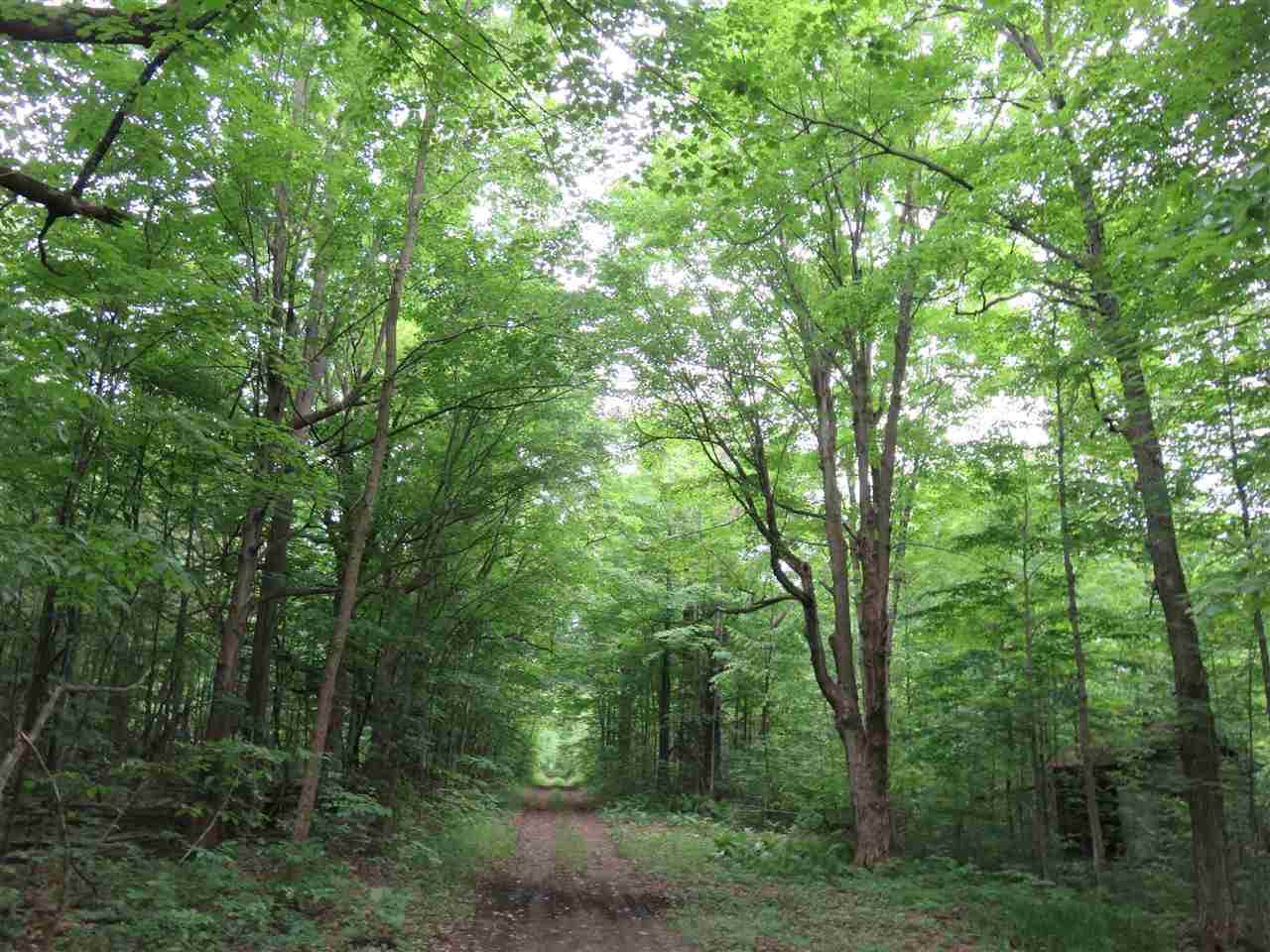 Old Durant Road - Photo 1
