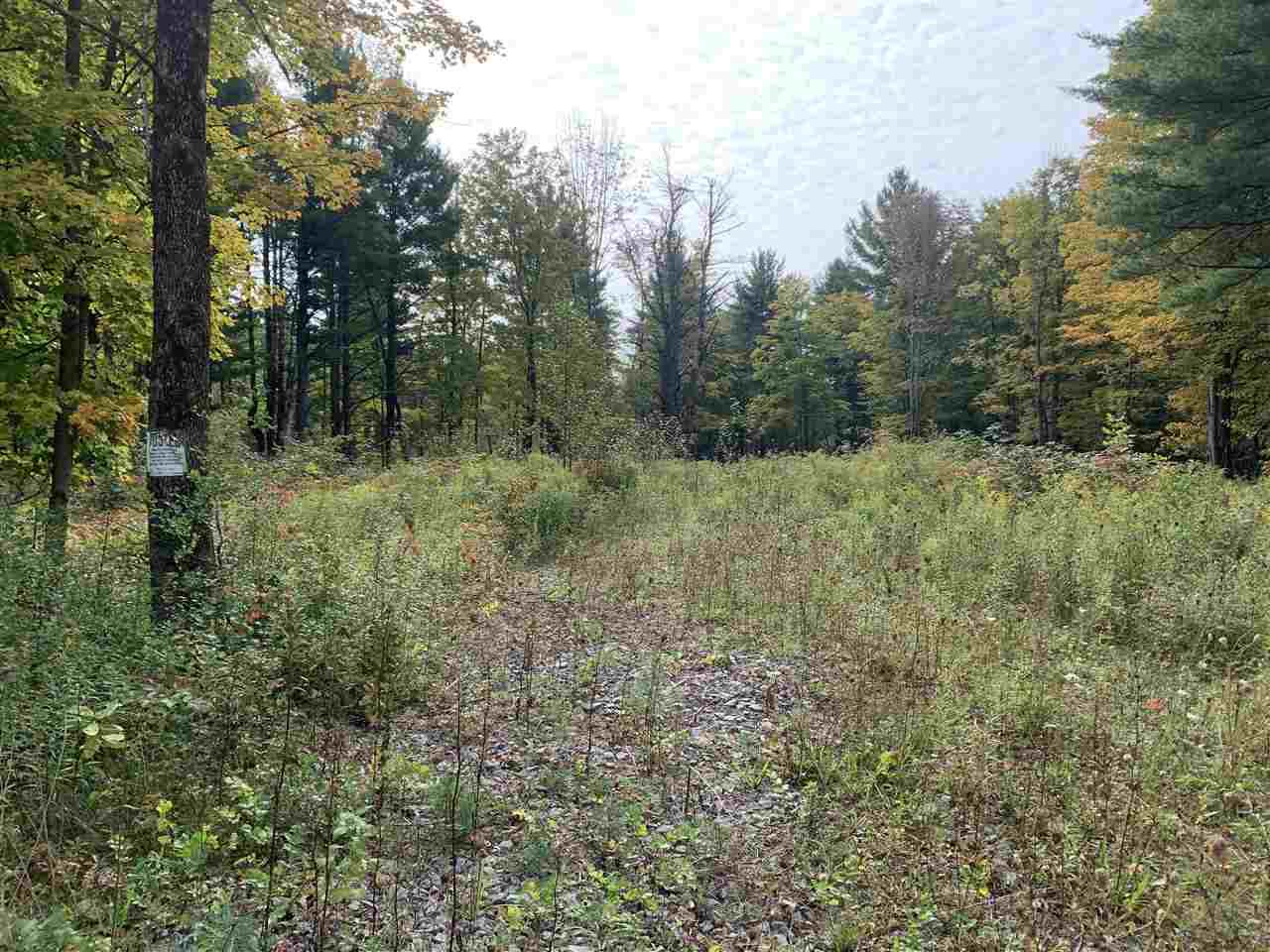 8850 Us Hwy 11 - Photo 1