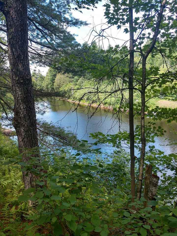 9-lot 12 Pitcairn Path - Photo 1
