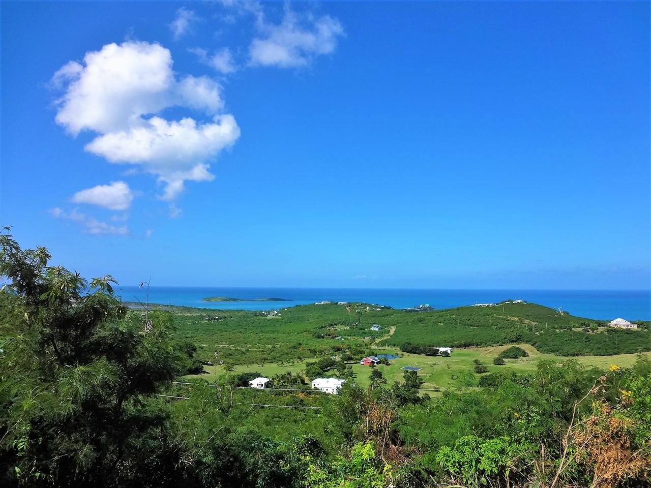 42 Seven Hills Ea - Photo 1