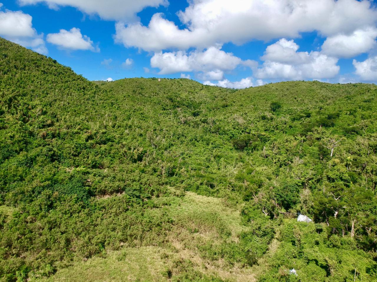 62 Hope Pr - Photo 1