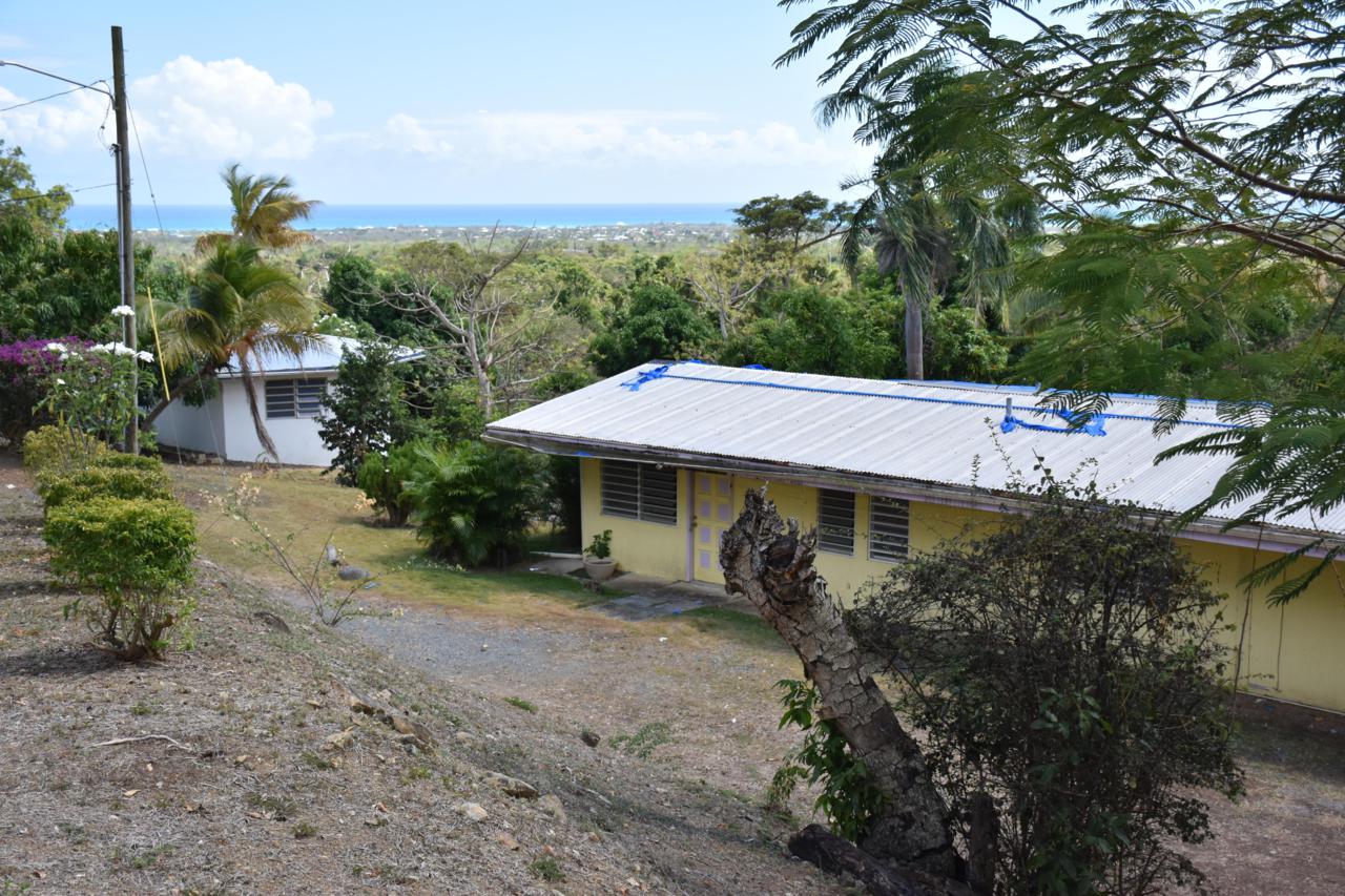 73 St. George Pr - Photo 1