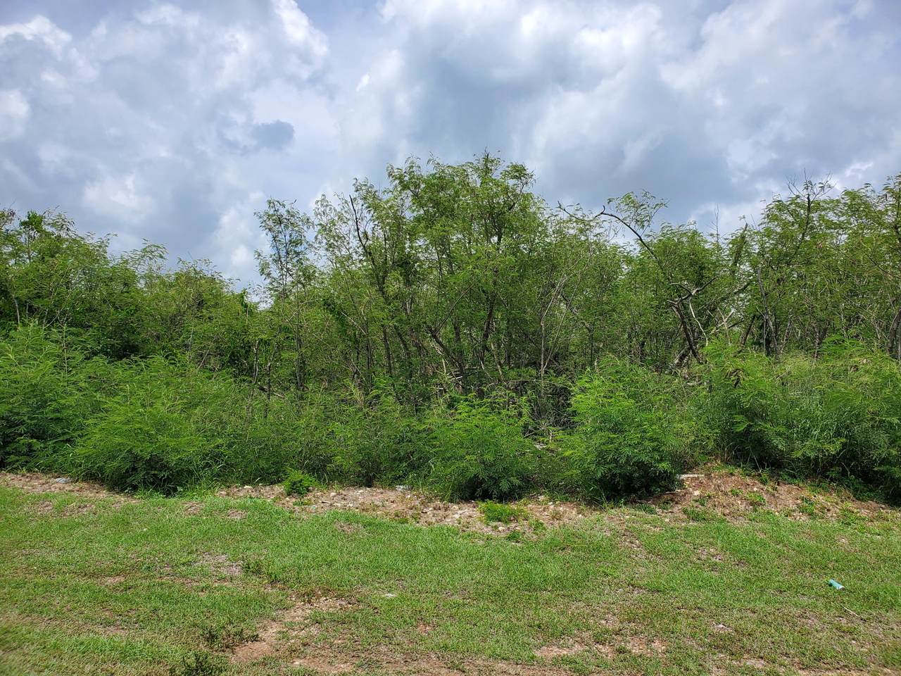 206 Paradise Pr - Photo 1