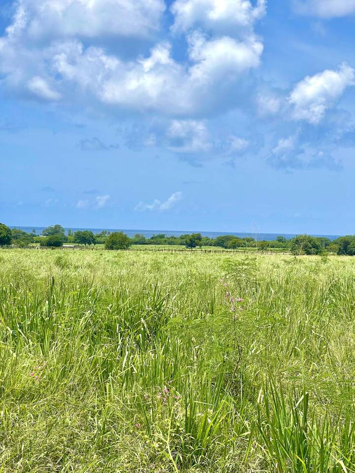 4-K La Grange We - Photo 1
