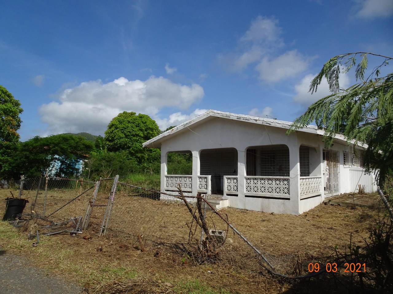 221 Glynn Ki - Photo 1