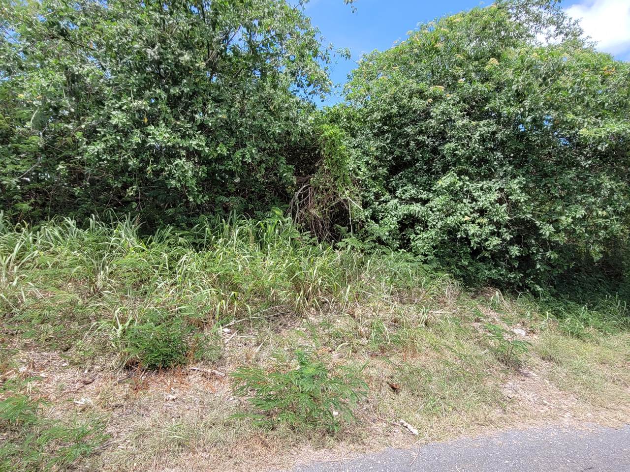 363 Enfield Green Pr - Photo 1
