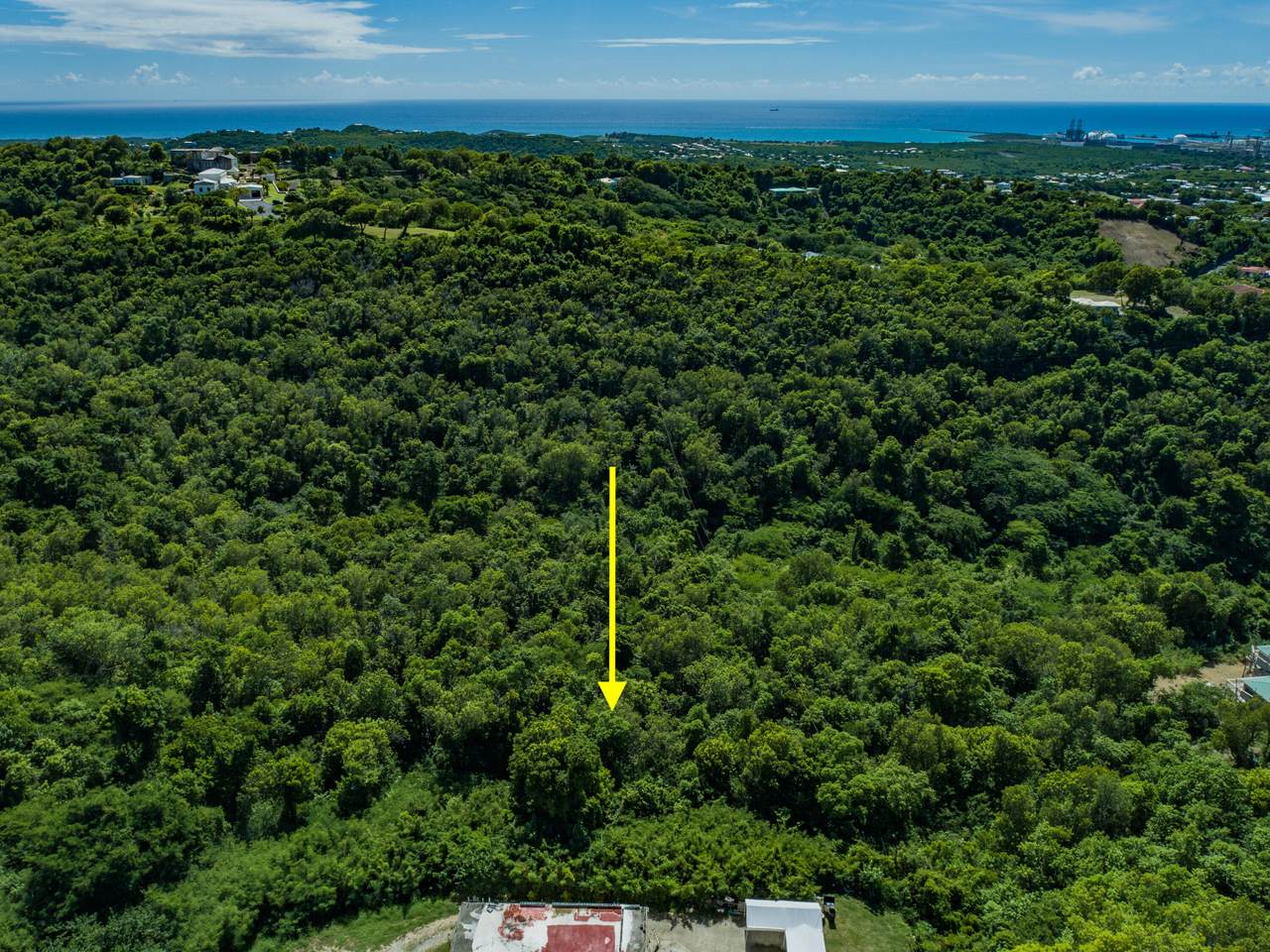 13-C Bellevue Co - Photo 1
