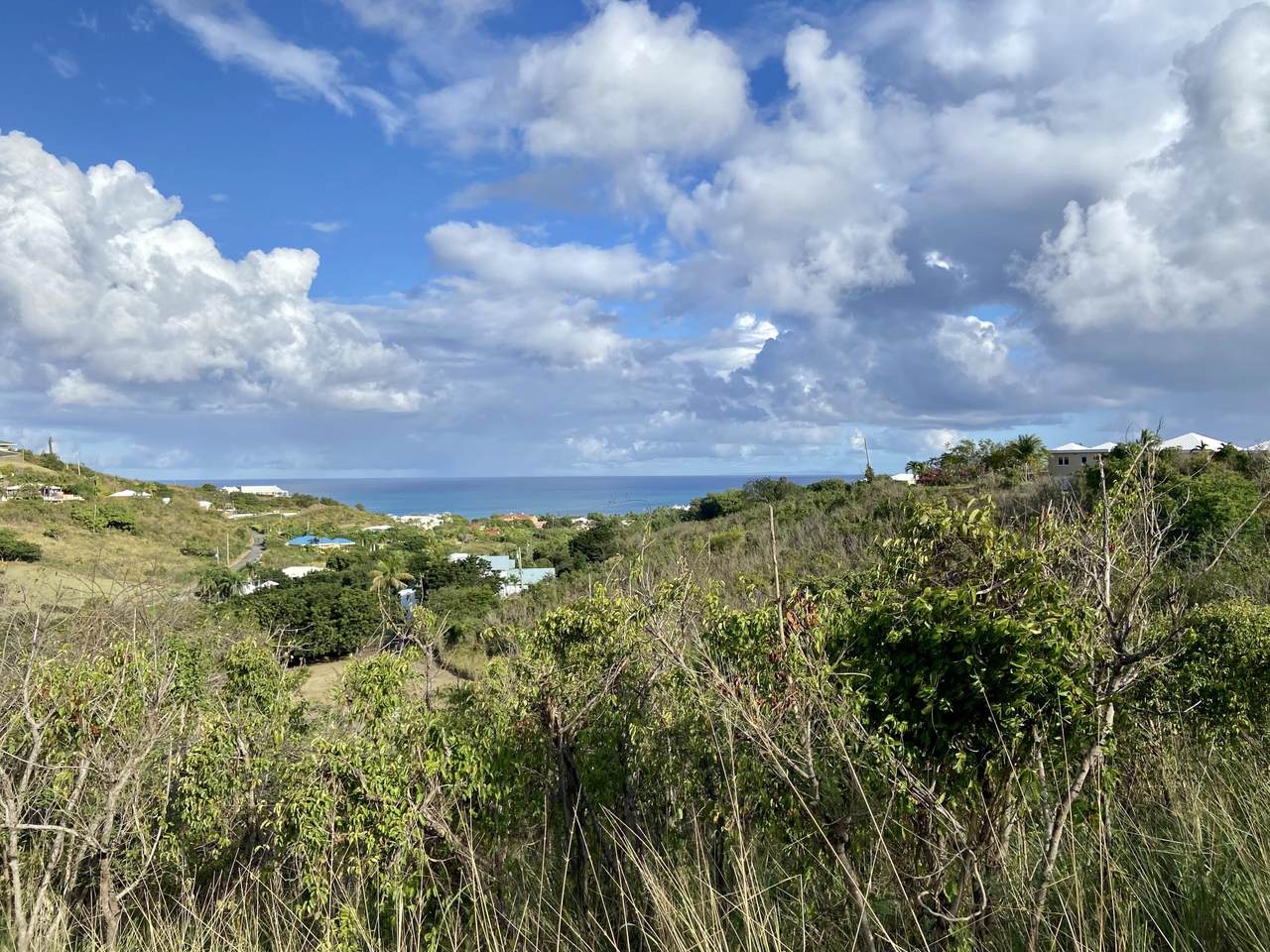 134 Mt. Pleasant Ea - Photo 1