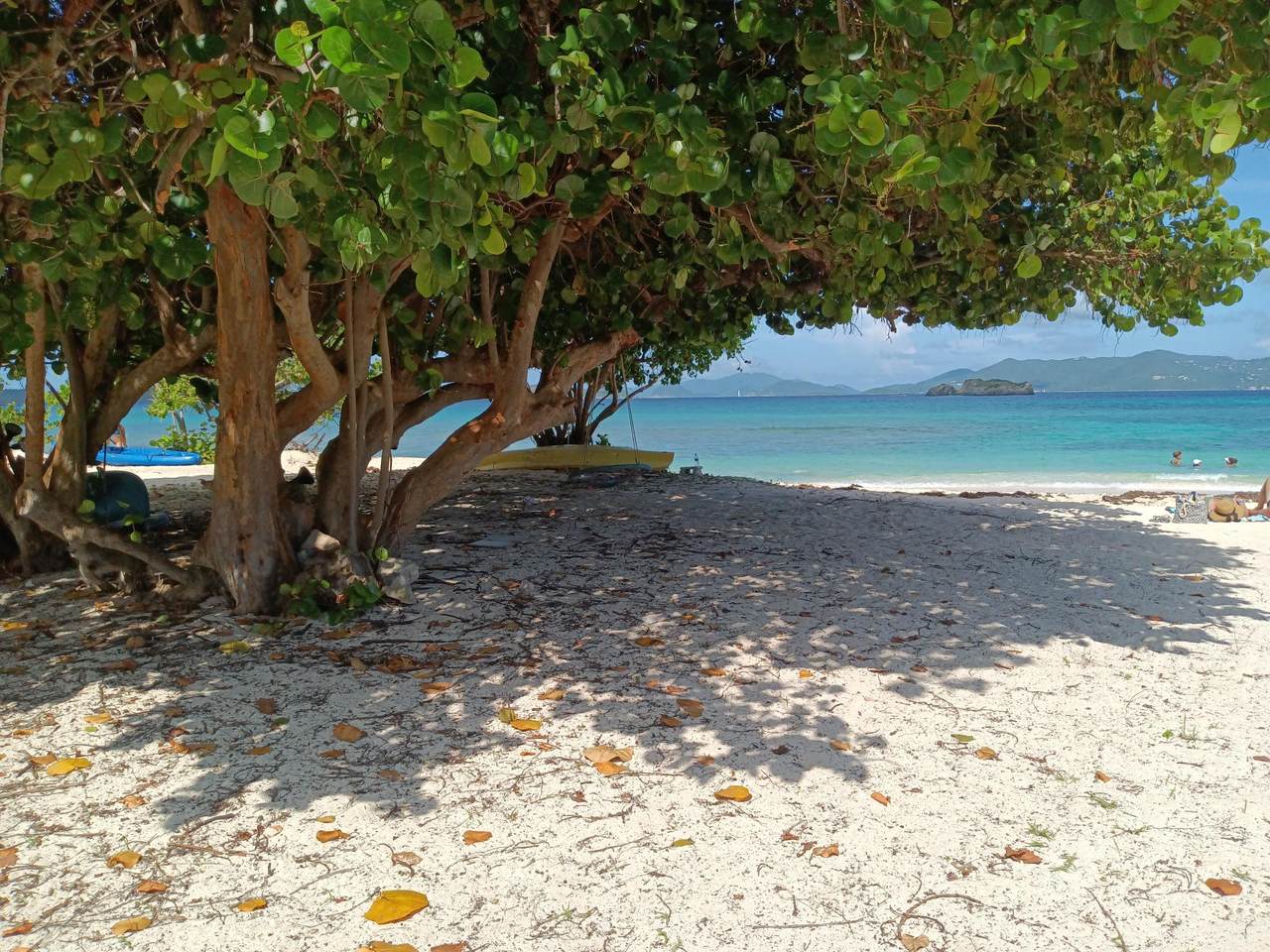 D22 Smith Bay Ee - Photo 1