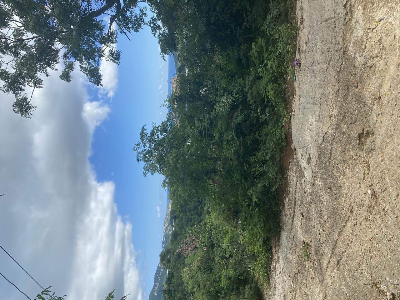 11-14 7BA Contant Ss - Photo 1