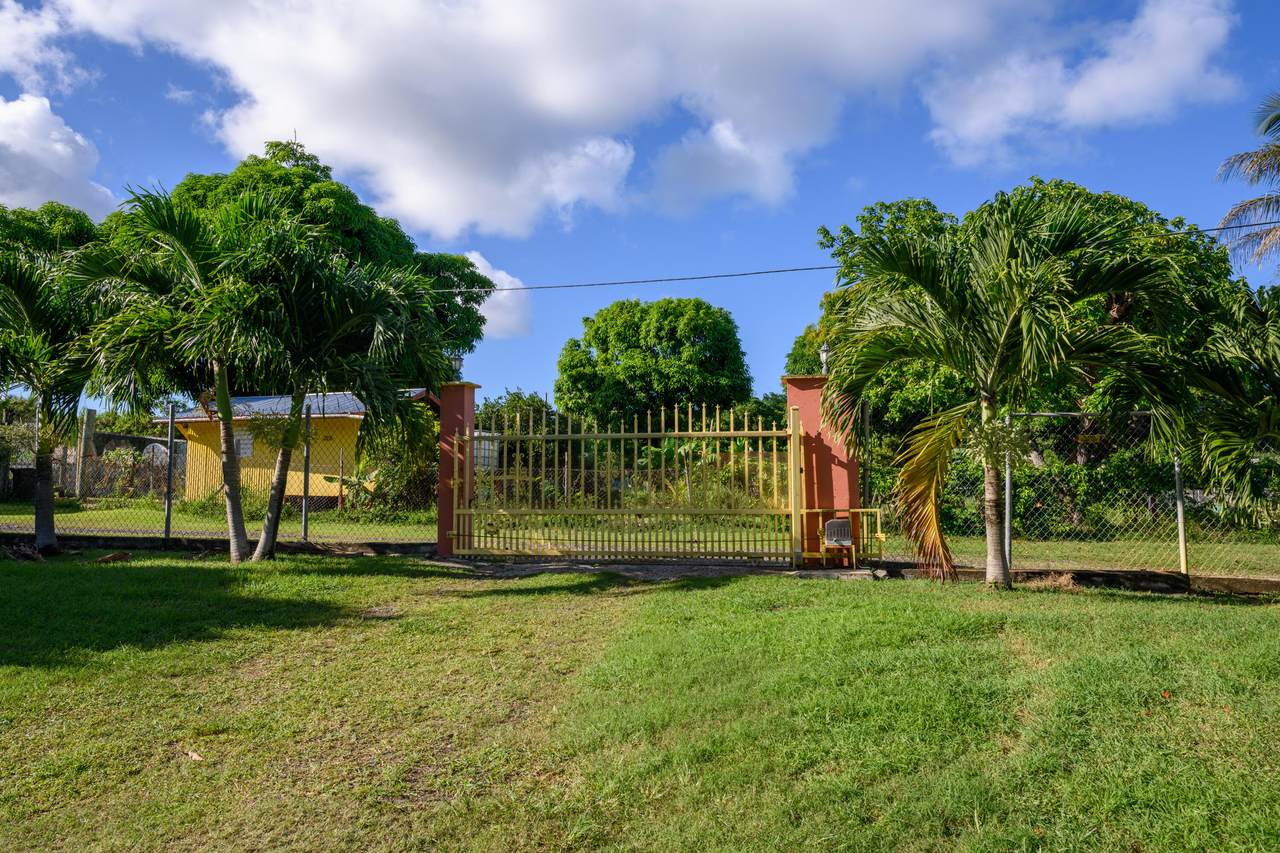 https://bt-photos.global.ssl.fastly.net/stthomas/1280_boomver_1_22-1942-2.jpg