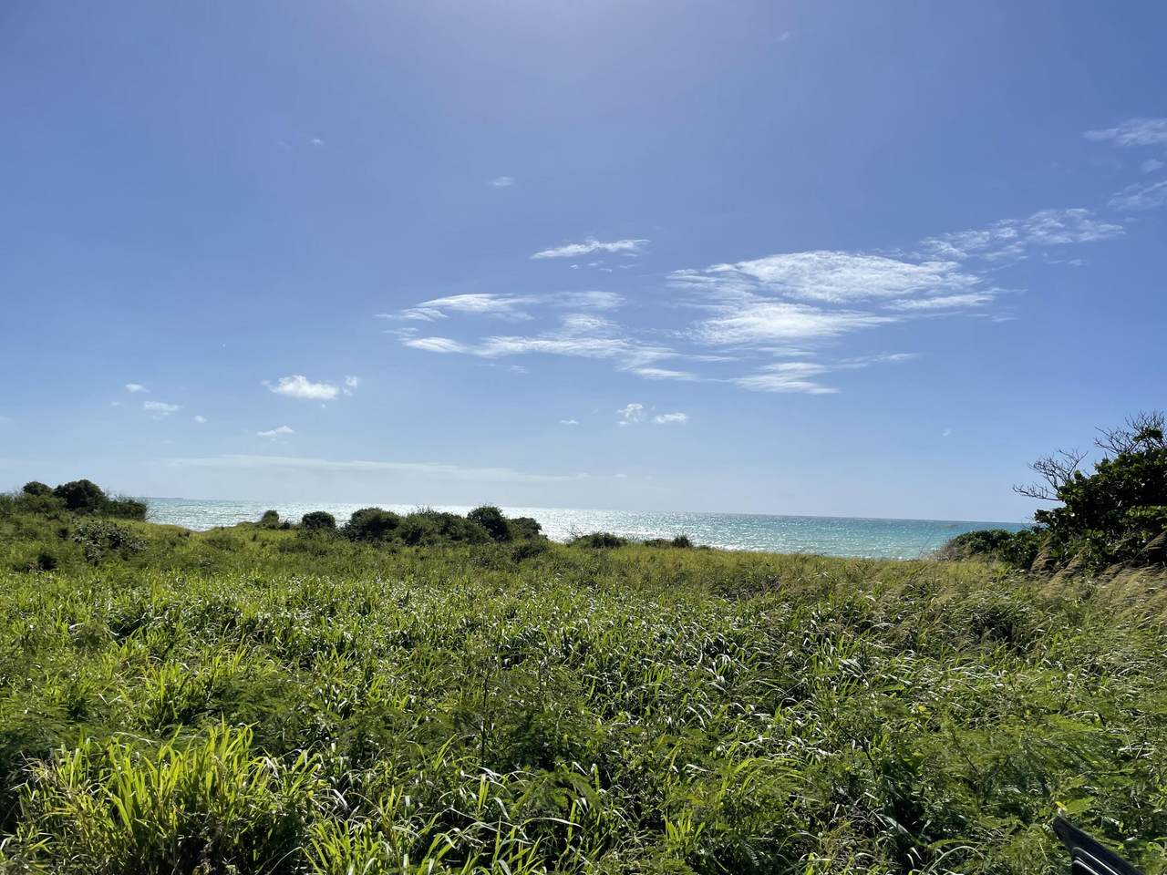 101 Enfield Green Pr - Photo 1