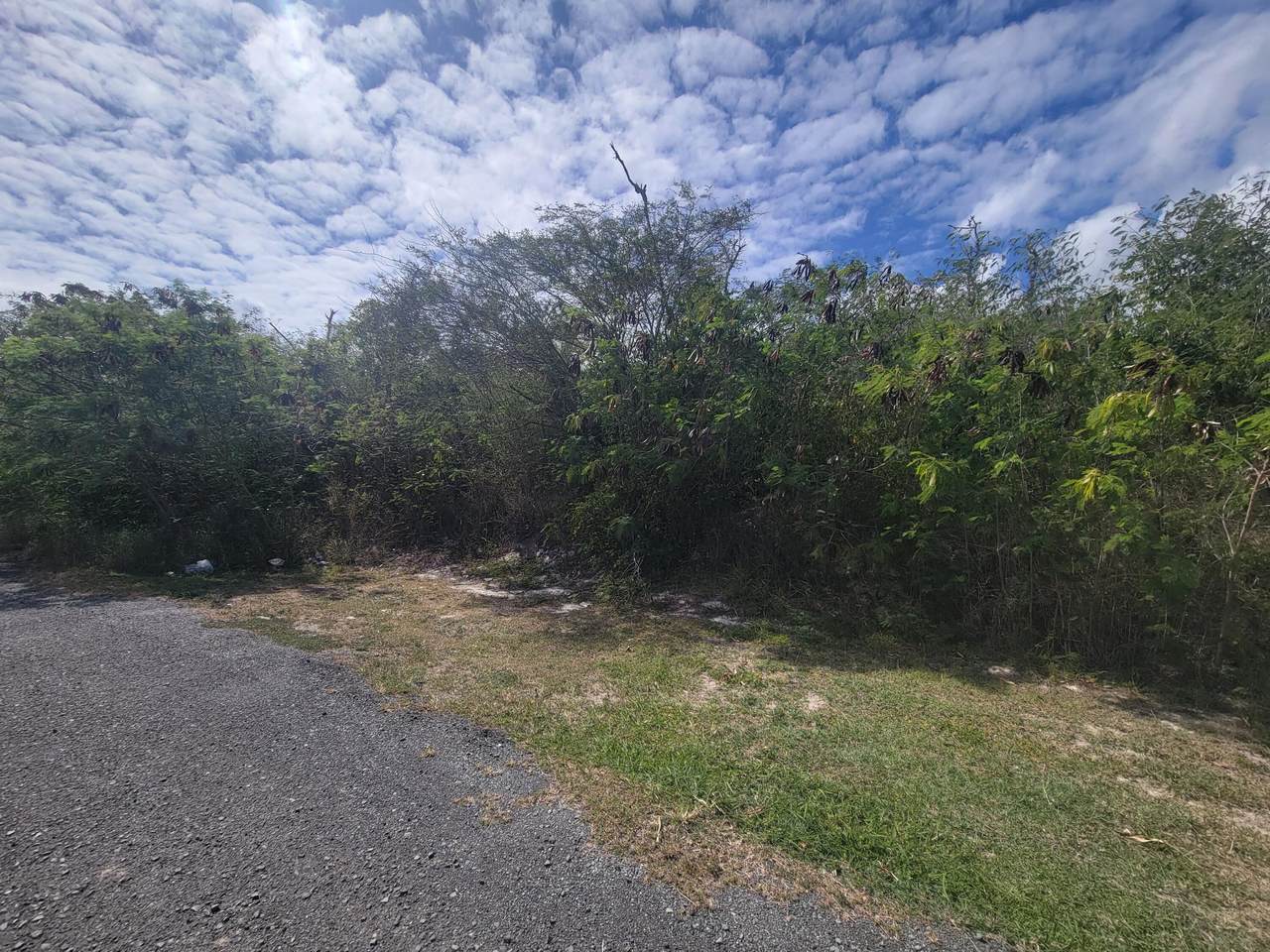 6 Mt. Pleasant Pr - Photo 1