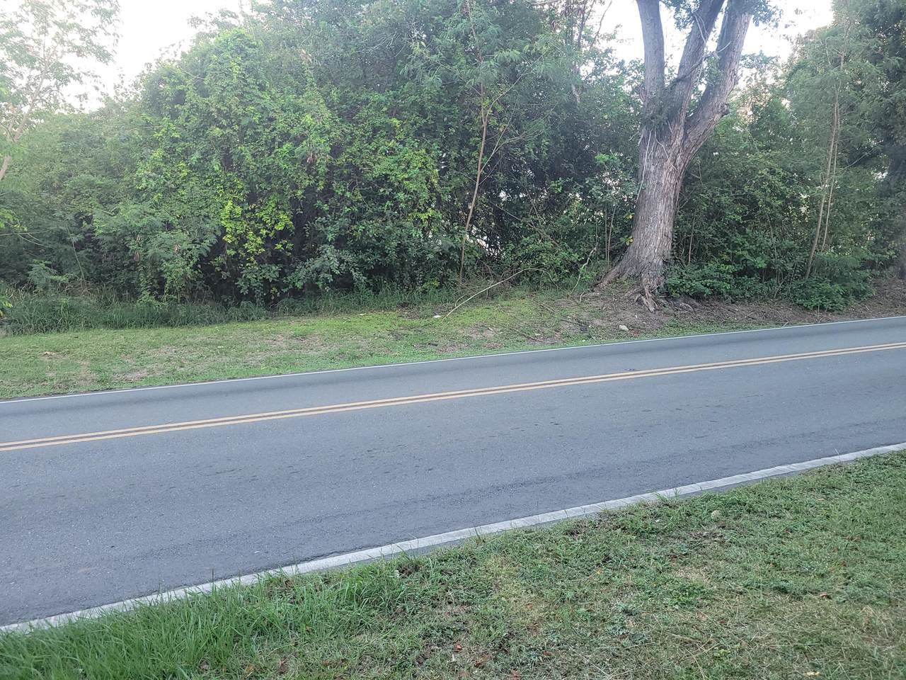 REM 8 Mt. Pleasant Pr - Photo 1