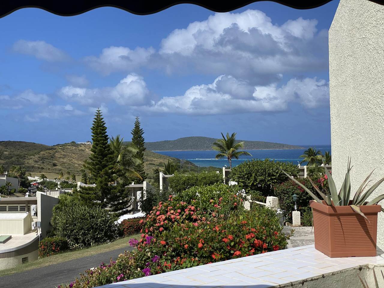 123 Teagues Bay Eb - Photo 1