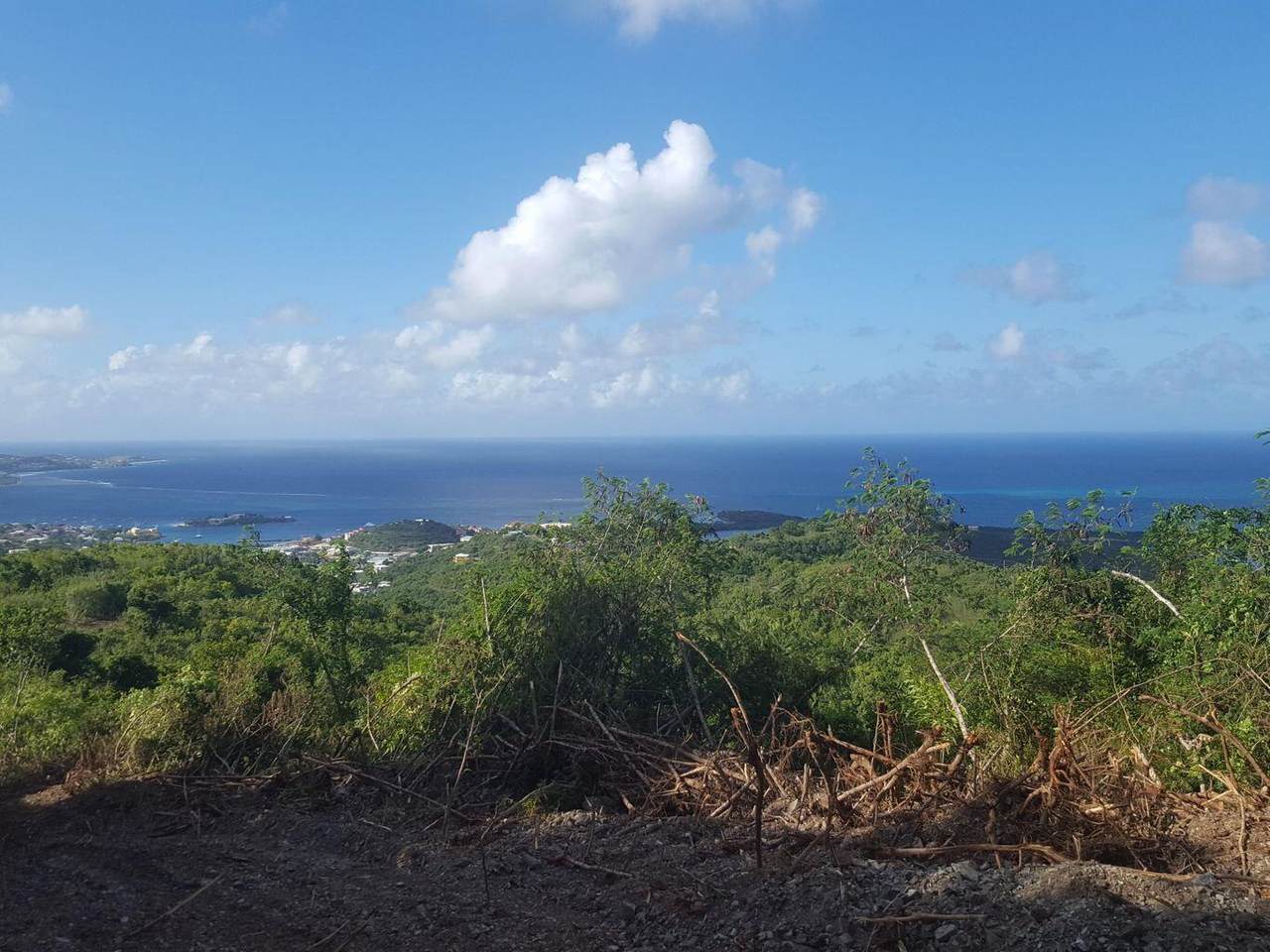 https://bt-photos.global.ssl.fastly.net/stthomas/1280_boomver_1_24-1094-2.jpg