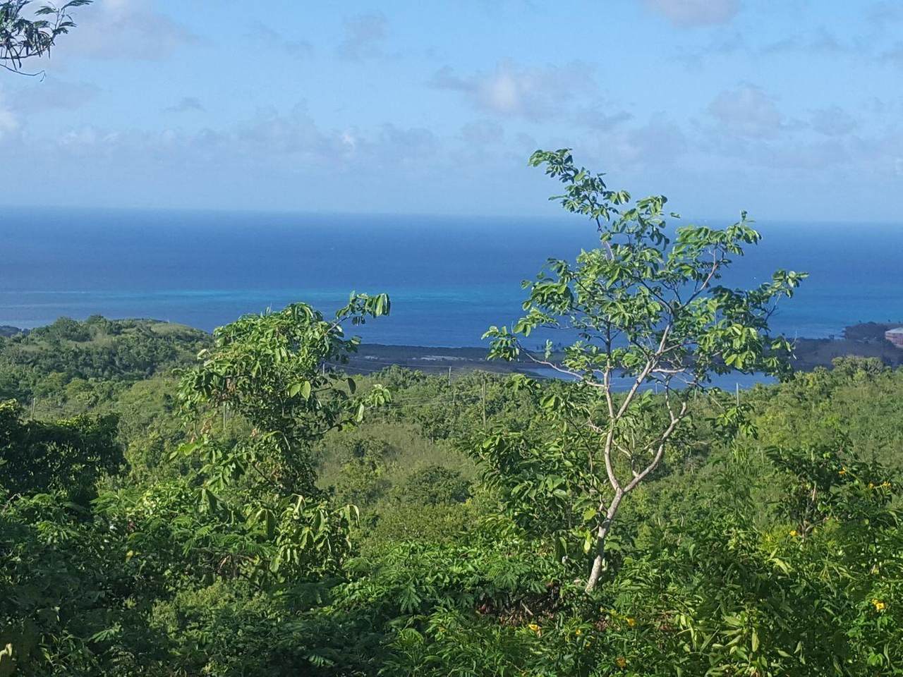 https://bt-photos.global.ssl.fastly.net/stthomas/1280_boomver_1_24-1094-2.jpg