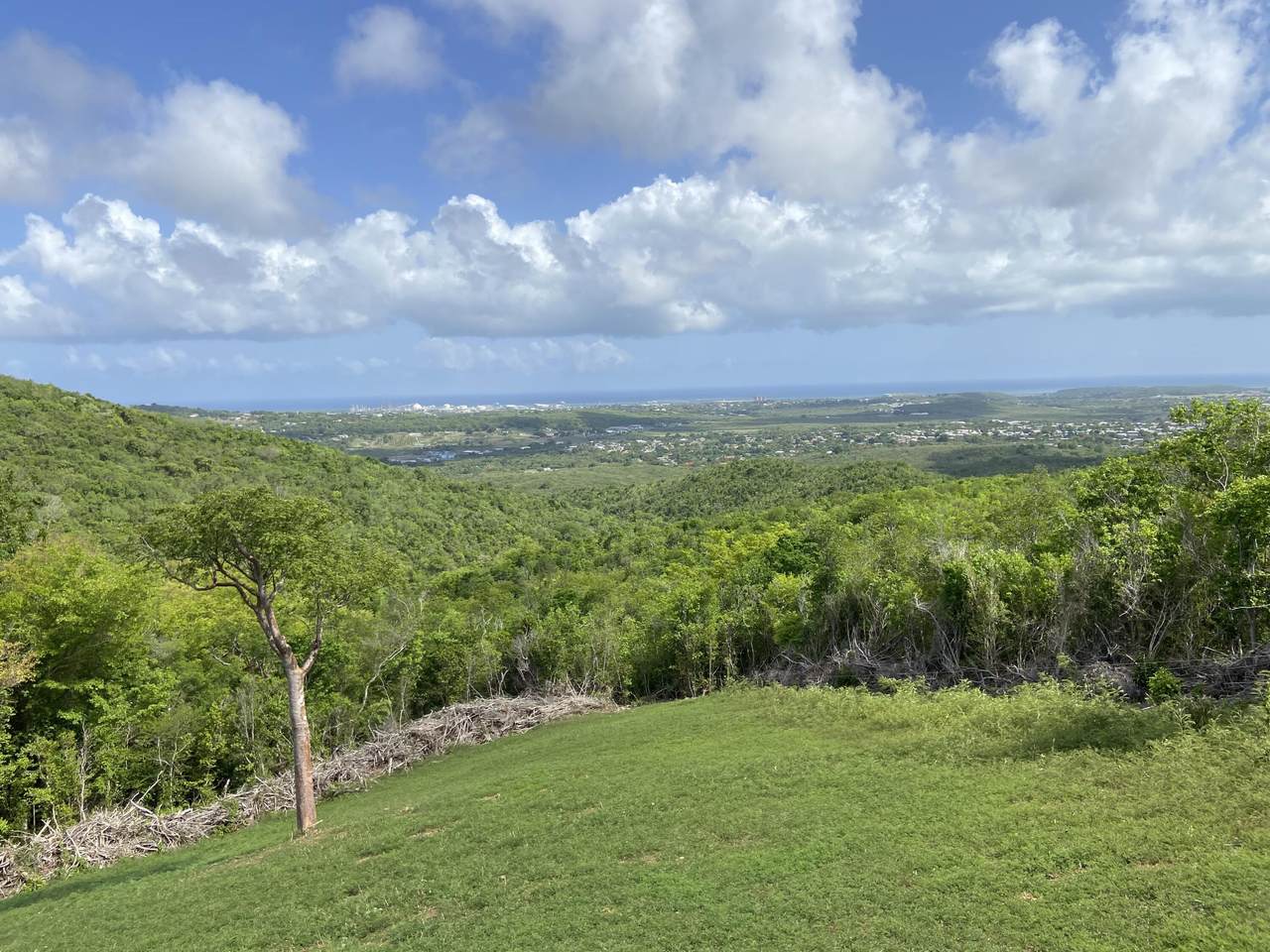 https://bt-photos.global.ssl.fastly.net/stthomas/orig_boomver_1_24-1535-2.jpg