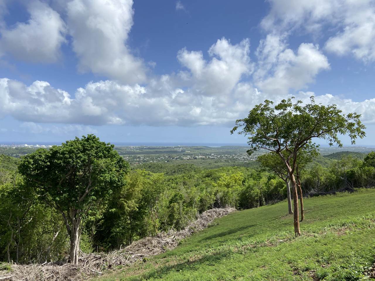 https://bt-photos.global.ssl.fastly.net/stthomas/1280_boomver_1_24-1547-2.jpg