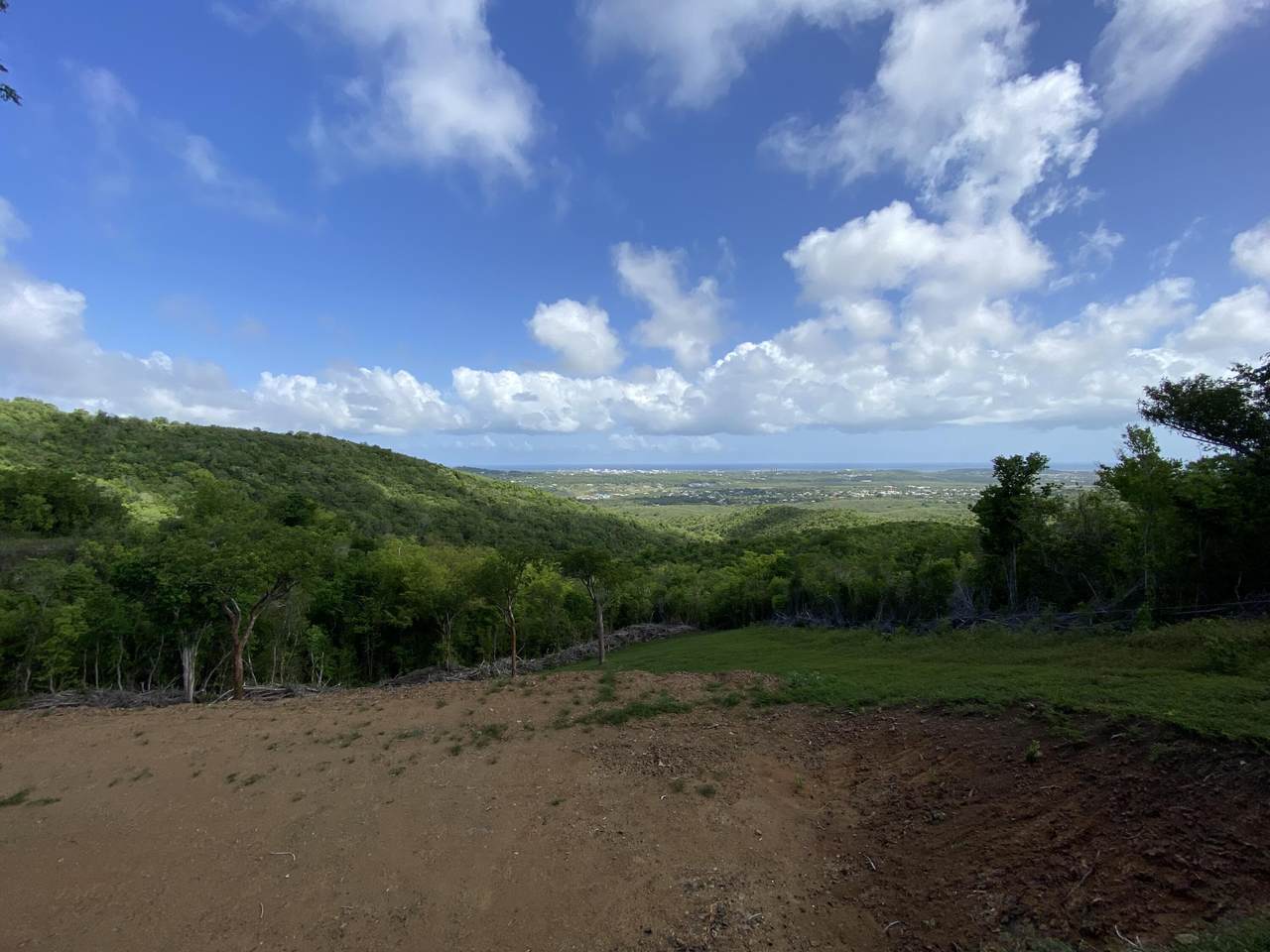 https://bt-photos.global.ssl.fastly.net/stthomas/1280_boomver_1_24-1547-2.jpg
