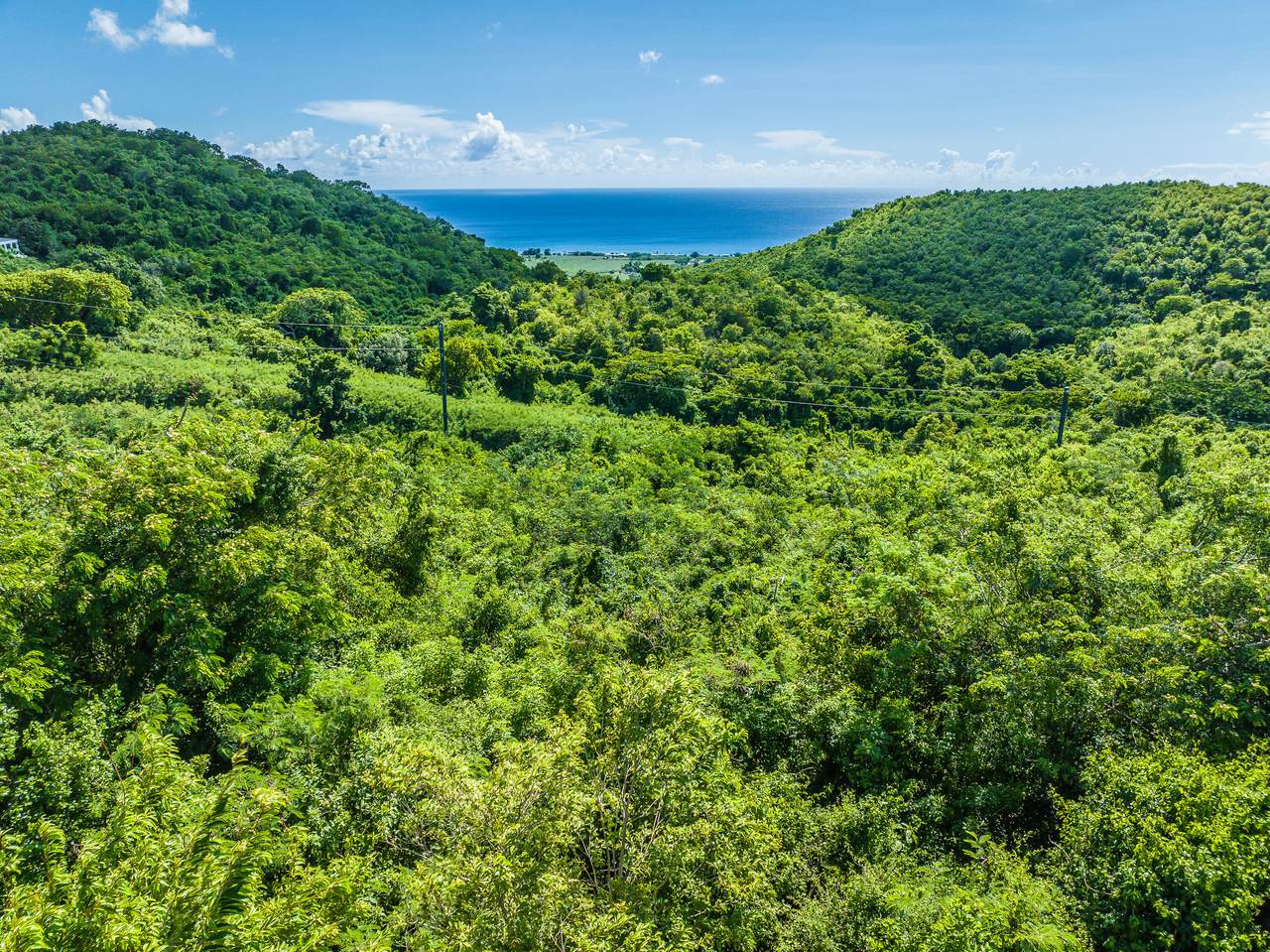 https://bt-photos.global.ssl.fastly.net/stthomas/1280_boomver_1_24-1690-2.jpg