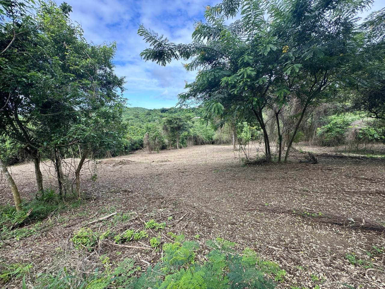 9-C1 Montpellier Pr - Photo 1