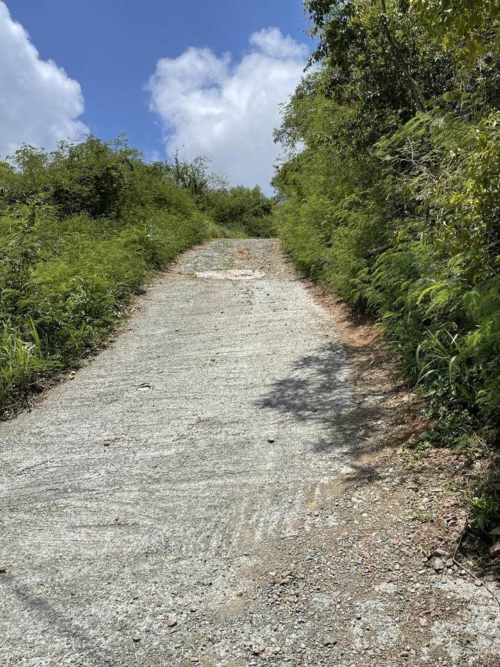 https://bt-photos.global.ssl.fastly.net/stthomas/orig_boomver_1_24-2043-2.jpg