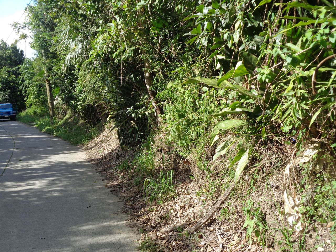 https://bt-photos.global.ssl.fastly.net/stthomas/1280_boomver_2_24-2097-2.jpg
