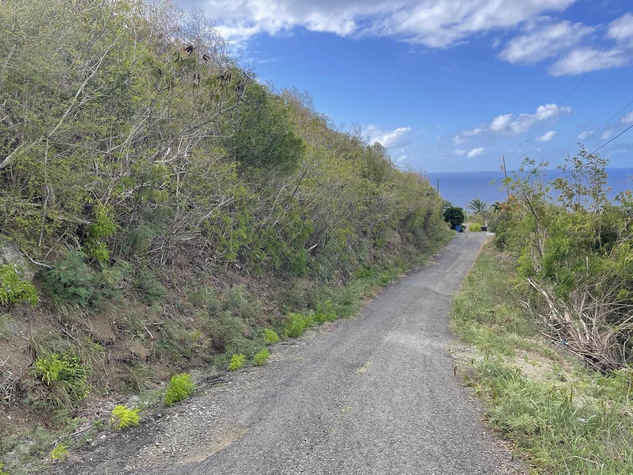 https://bt-photos.global.ssl.fastly.net/stthomas/1280_boomver_1_24-2109-2.jpg