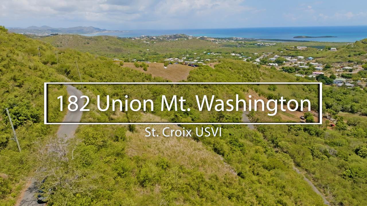182 Union & Mt. Wash Ea - Photo 1