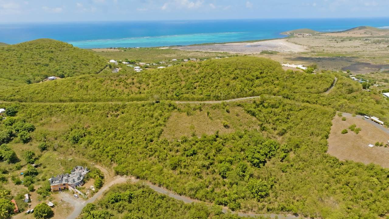 https://bt-photos.global.ssl.fastly.net/stthomas/1280_boomver_1_24-2159-2.jpg