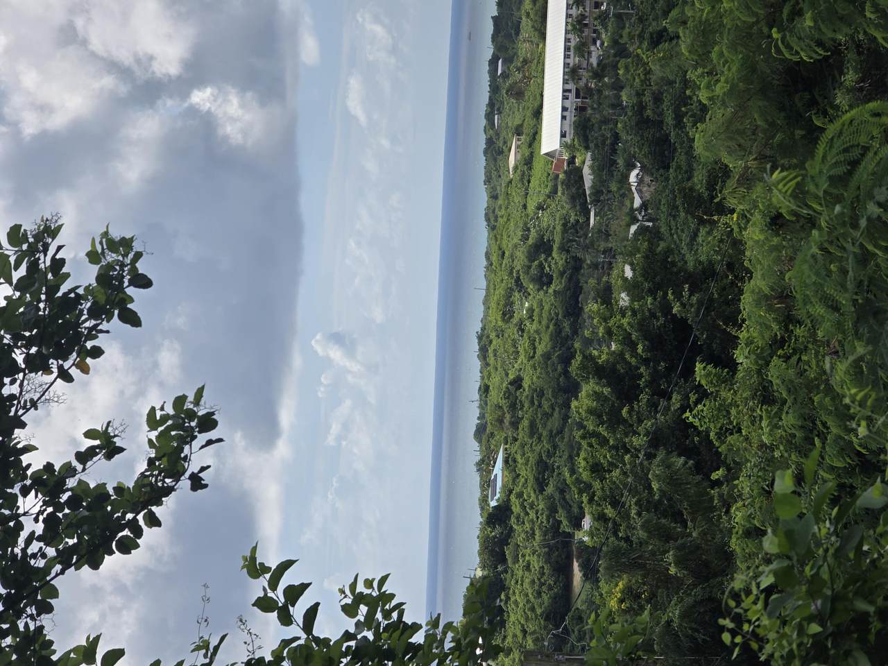 34 Anna's Hope Qu - Photo 1