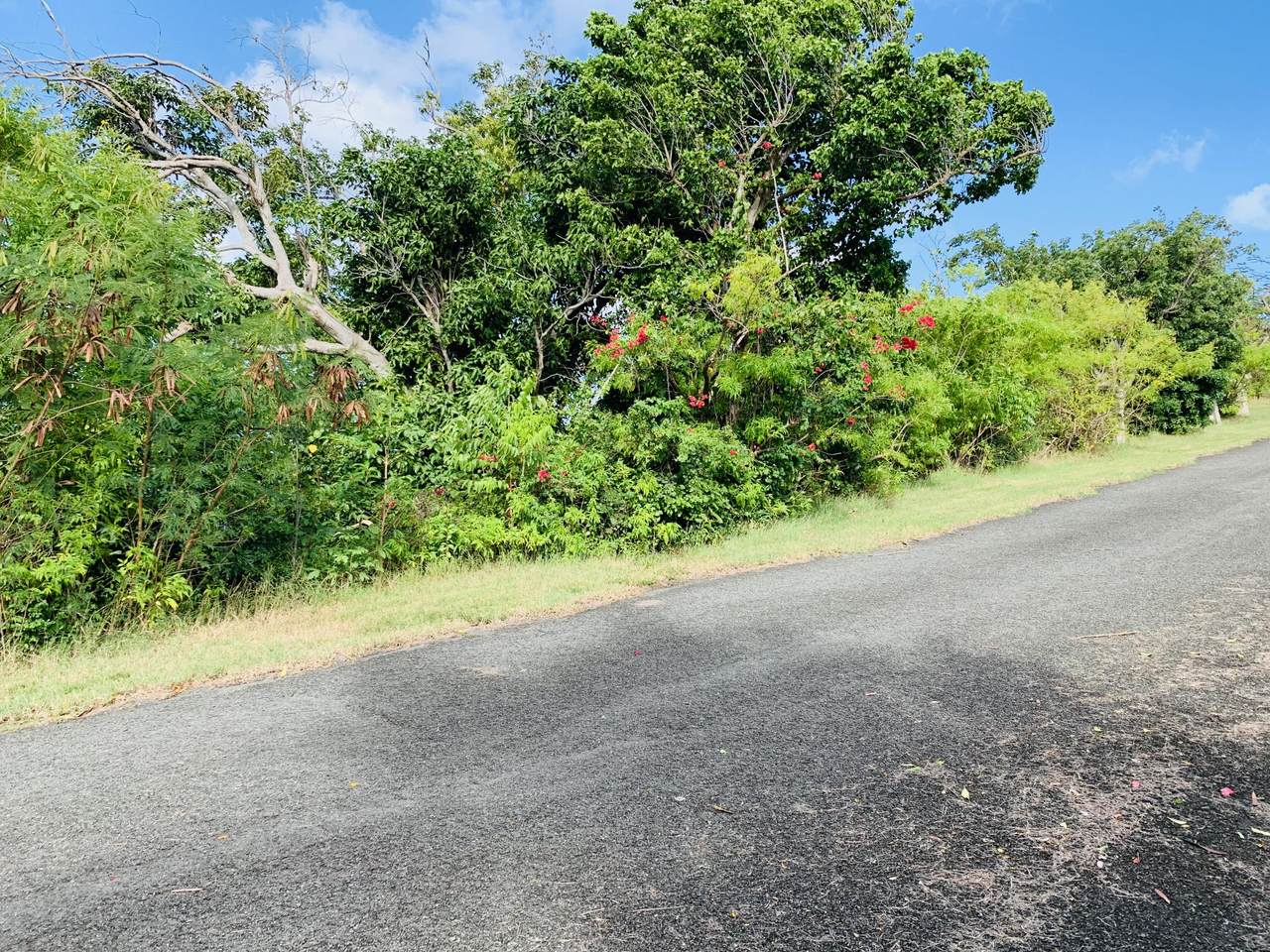 https://bt-photos.global.ssl.fastly.net/stthomas/1280_boomver_1_24-456-2.jpg
