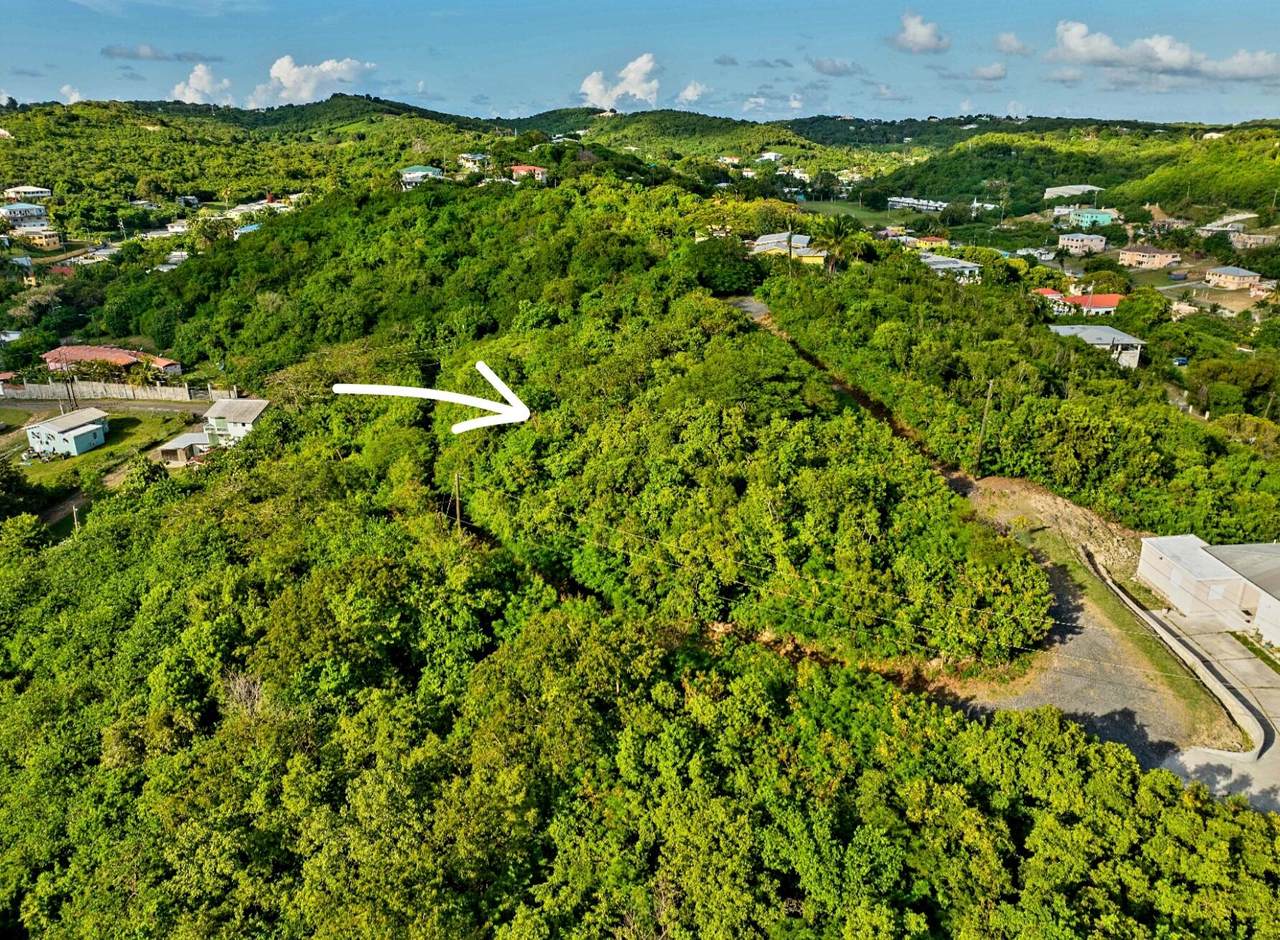 15 K Sion Hill Qu, St. Croix, VI 00820 (MLS 24571) Calabash Real