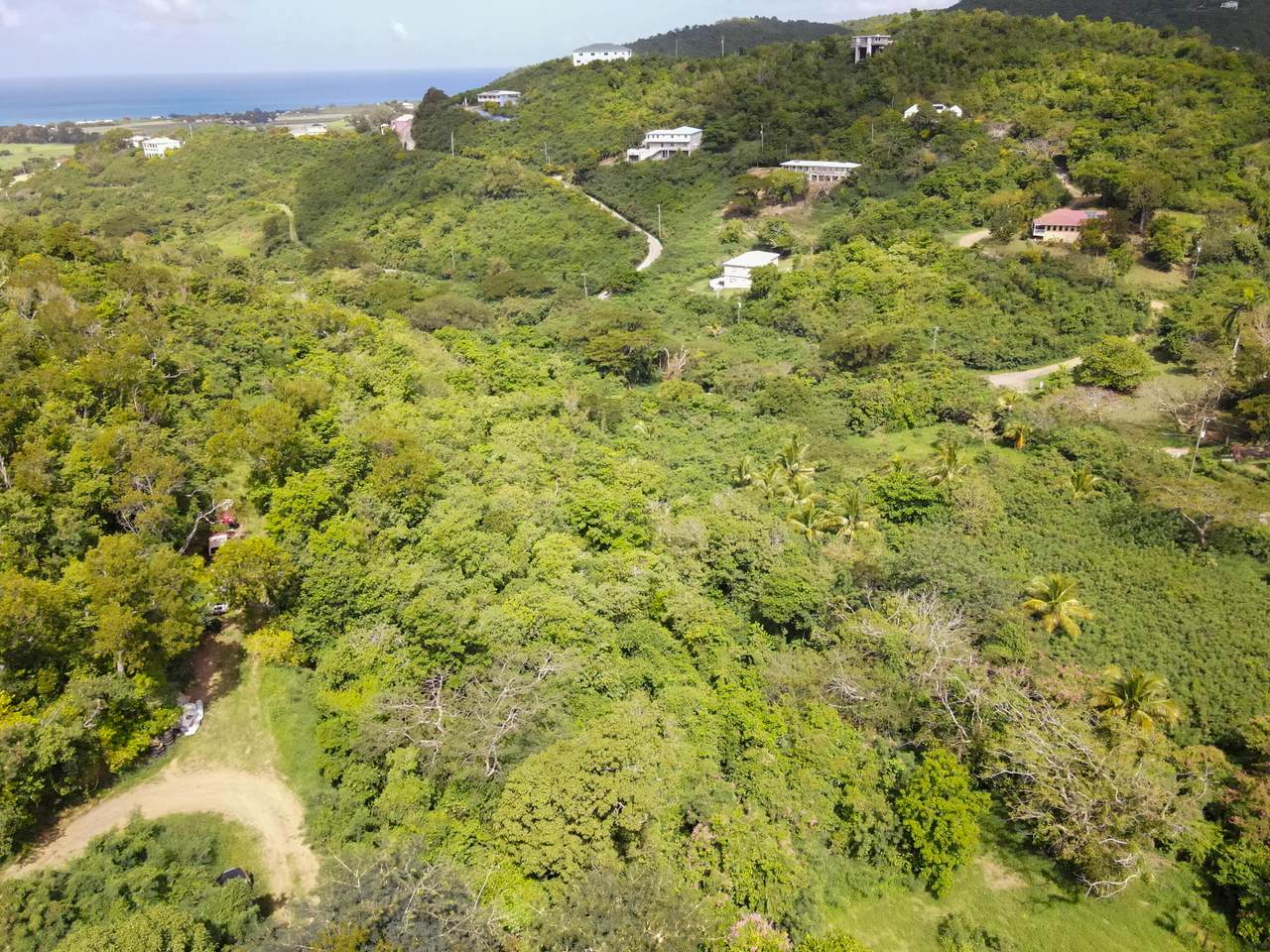 https://bt-photos.global.ssl.fastly.net/stthomas/1280_boomver_1_24-590-2.jpg