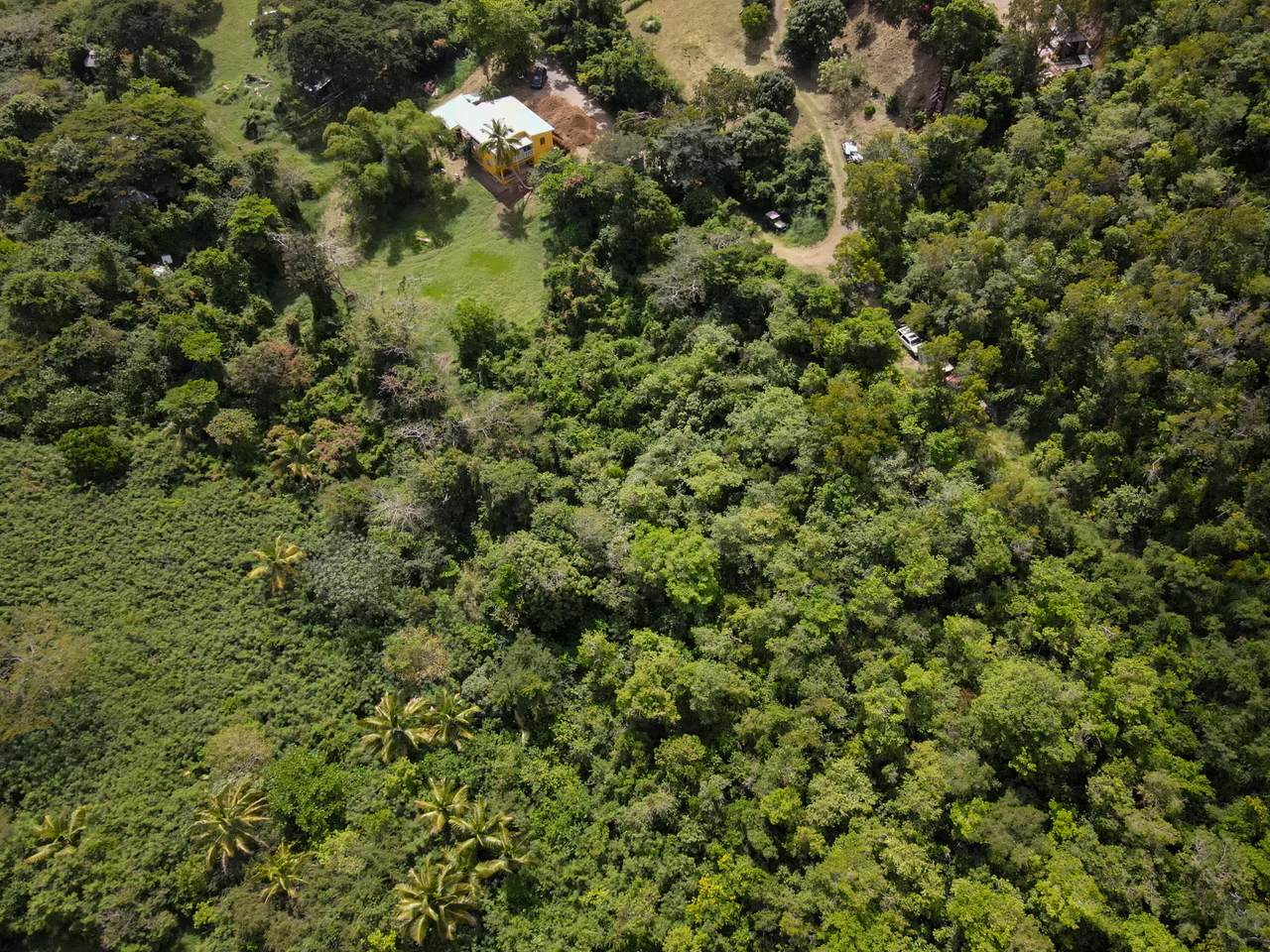 https://bt-photos.global.ssl.fastly.net/stthomas/1280_boomver_1_24-590-2.jpg