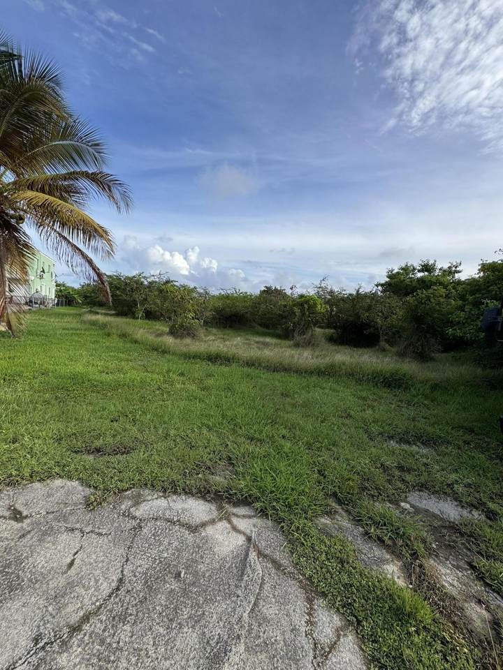 284 Enfield Green Pr - Photo 1