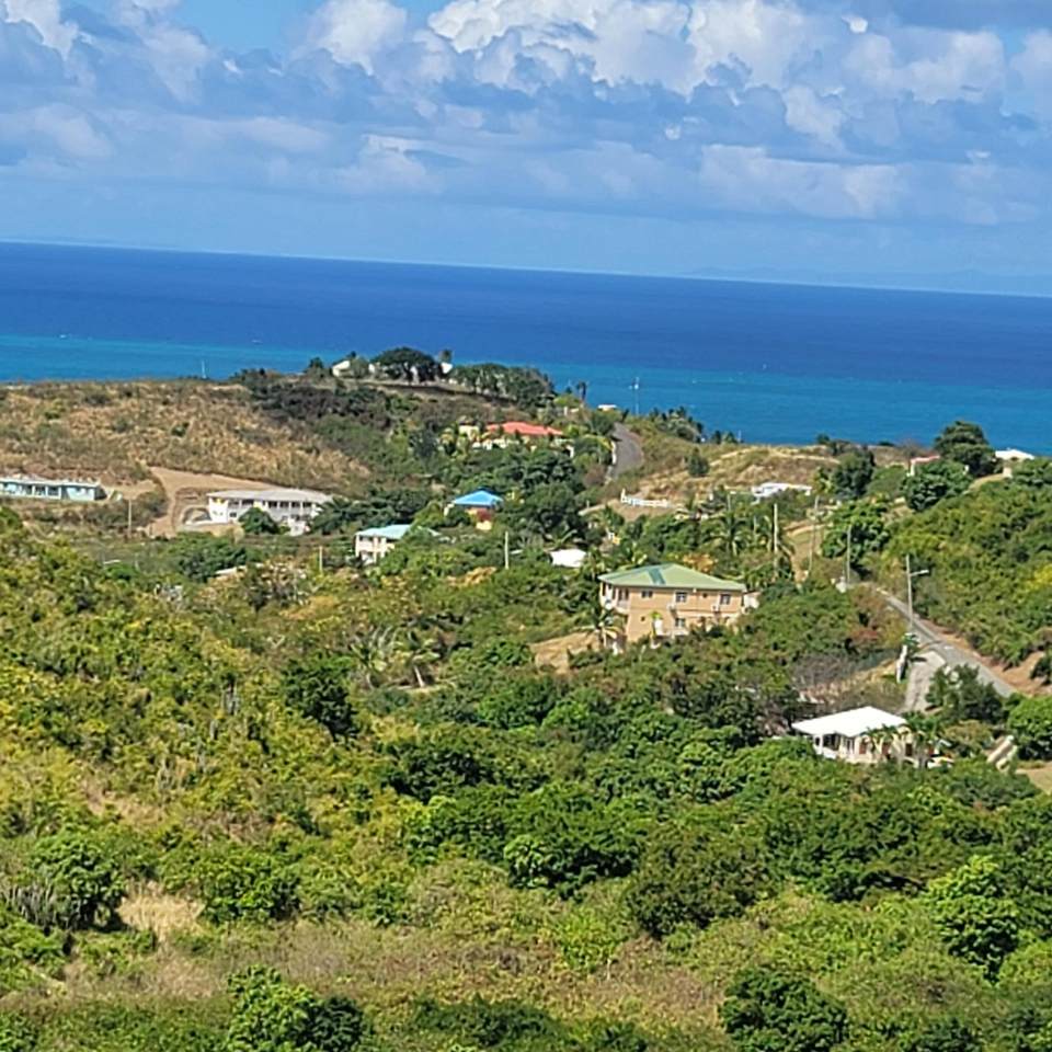 https://bt-photos.global.ssl.fastly.net/stthomas/1280_boomver_1_25-1041-2.jpg