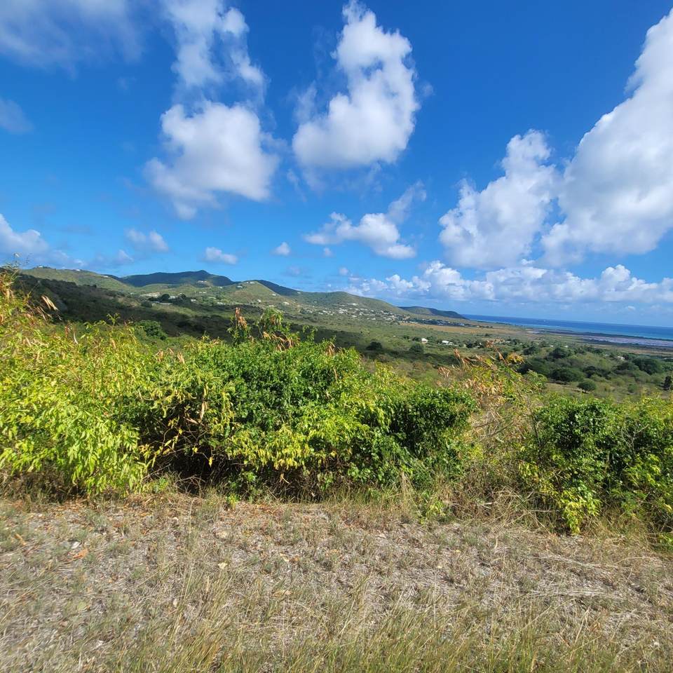 https://bt-photos.global.ssl.fastly.net/stthomas/1280_boomver_1_25-1041-2.jpg