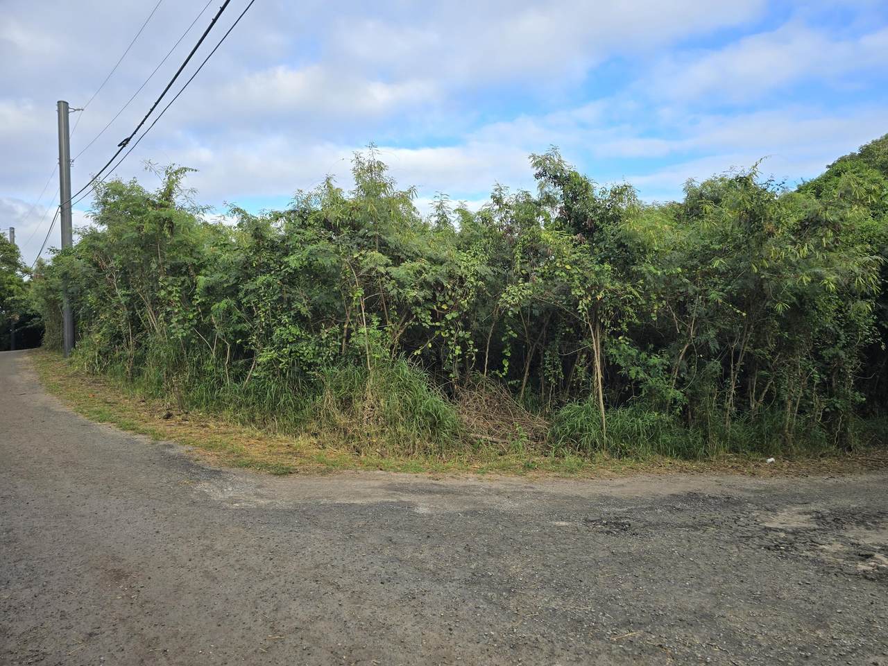 56 Montpellier Qu - Photo 1