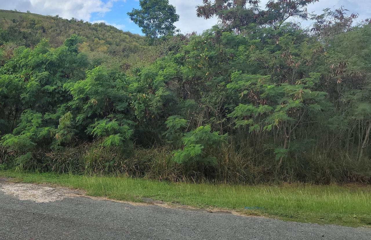 181 Union & Mt. Wash Ea - Photo 1