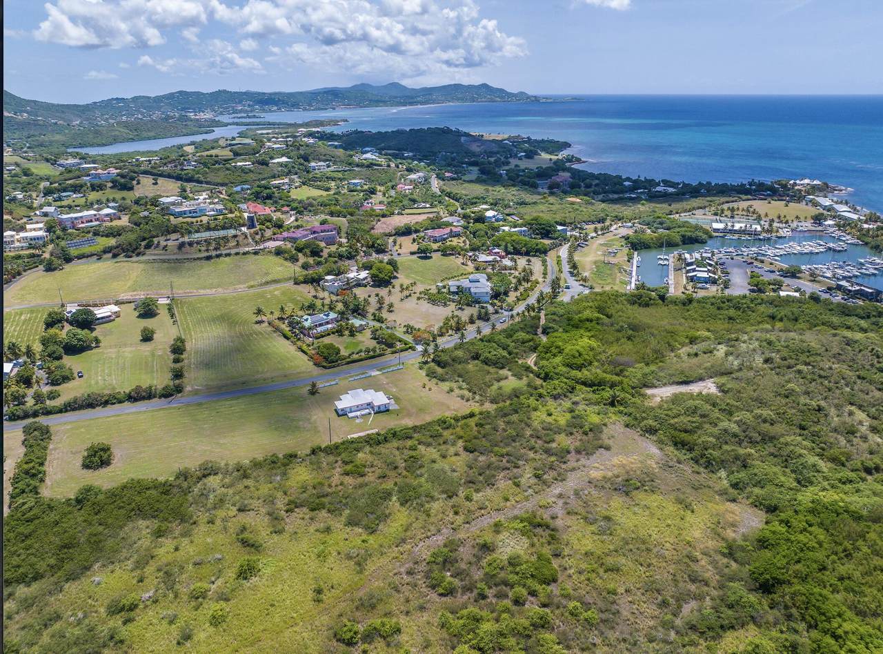 REM 61-Y Southgate Farm Ea - Photo 1