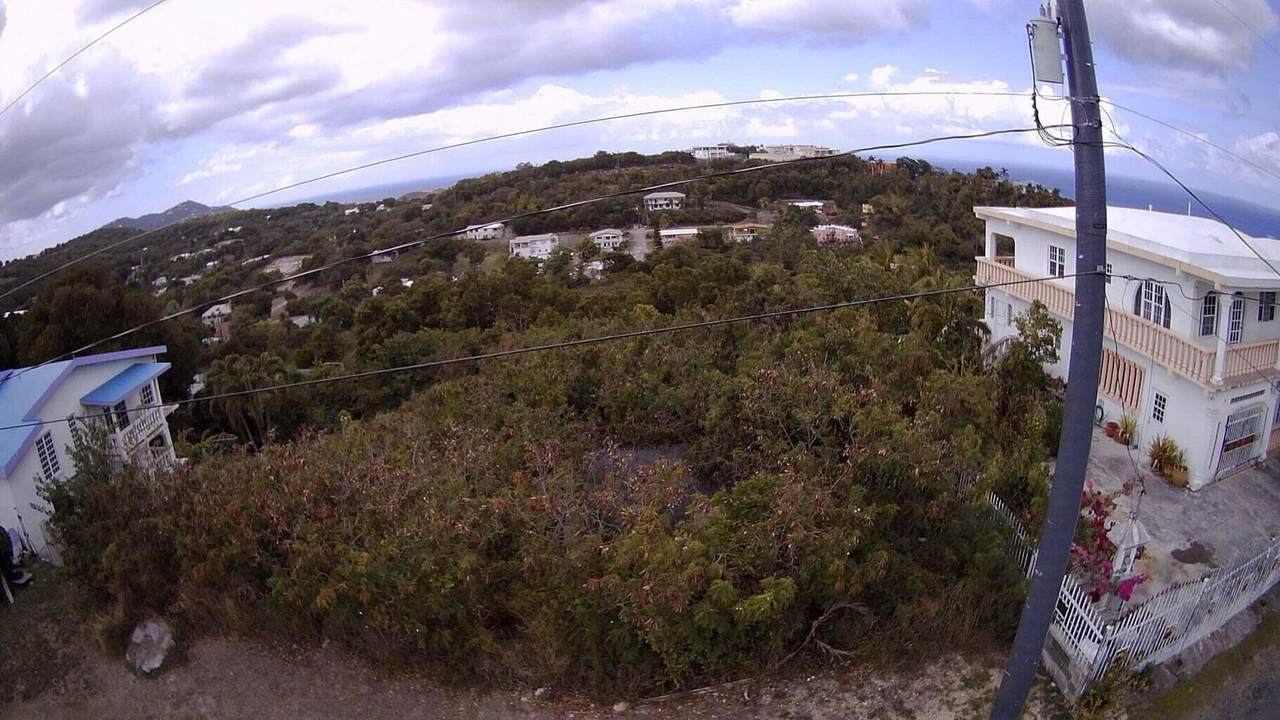 291 La Grande Princesse Co - Photo 1