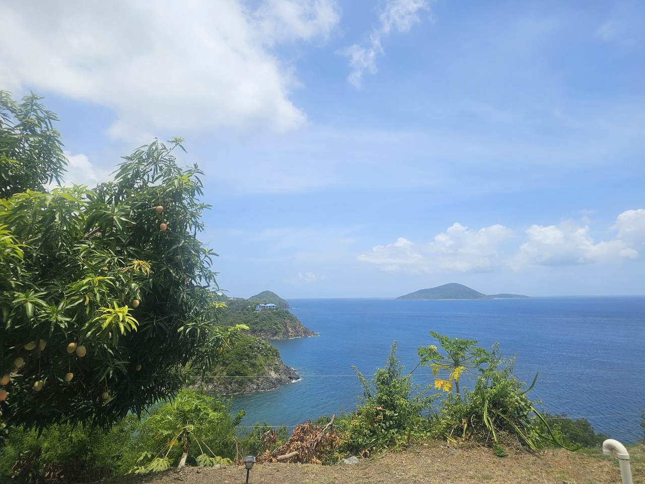 https://bt-photos.global.ssl.fastly.net/stthomas/orig_boomver_1_25-1267-2.jpg