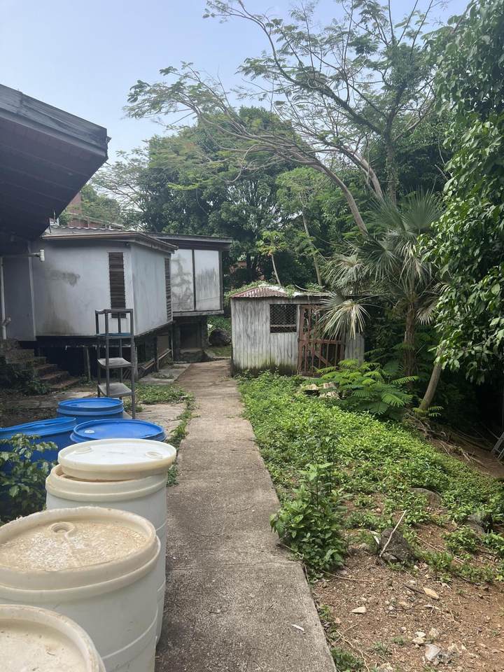 https://bt-photos.global.ssl.fastly.net/stthomas/1280_boomver_1_25-1295-2.jpg