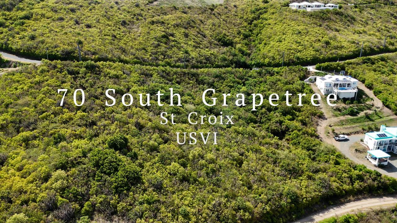 70 South Grapetree Eb - Photo 1